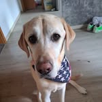 Floyd Marlow - @floyd.marlow.germany - Instagram