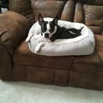Floyd May - Facebook