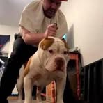 Floyd May - Facebook