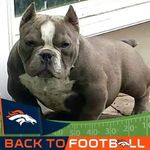 Floyd McKinney - @eubyfemckinney135 - Instagram