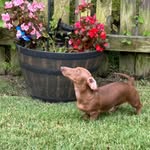 Denise Floyd Mizell - @dfmizell - Instagram