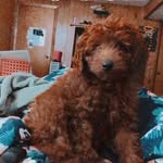 oakley💕💕 - @oakley_floyd123 - Instagram