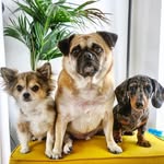 Roger Oakley Floyd - @rogeroakleyfloyd - Instagram
