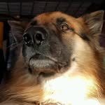 Floyd Olsen - @_.floyd.olsen._ - Instagram
