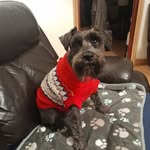 Floyd O'neill - @floy.d4635 - Instagram