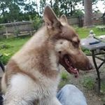 floyd - @floyddlong - Instagram