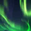 floydpac23 - @floydpac23 - TikTok