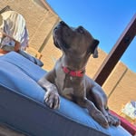 Alicia - @floydpack - Instagram