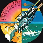 crazy diamond - @pink_floydpage - Instagram