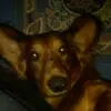 Floyd Page640 - @floydpage640 - TikTok