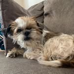 @floydpaul_ - Instagram