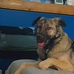 Floyd Peebles - @floyd_the_carpathian - Instagram