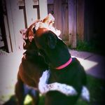 Floyd & Pepper - @flepper.photos - Instagram