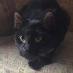 Meep - @meep.and.floydpepper - Instagram