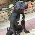 Floyd perez - @floydperez_ - Instagram