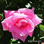 @floyd_peterson - Instagram