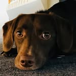 Floyd Pink - @floydpink53 - Instagram