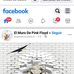 Floyd Pink - Facebook