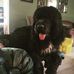 Floyd Plummer - Facebook