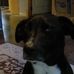 Floyd Potts - Facebook