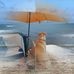 Floyd Powell - Facebook