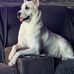 Floyd Quinn - Facebook