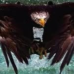 Floyd Radcliff - @floydradcliff123 - Instagram