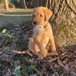 Hi my name is River! - @river.eddy.floyd.davis - Instagram