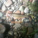 Floyd Reed - @floyd.reed - Instagram