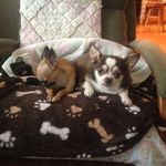 Floyd Reed Jr - @freed113 - Instagram
