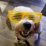 Floyd Reid Levi - @just.flod - Instagram
