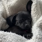 Floyd - @floyd.rider - Instagram