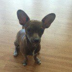 Floyd "Papadapas" Rivera - @floyd.rivera - Instagram