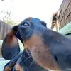 floyd.rock - @floyd.rock - TikTok