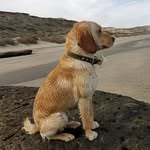 Floyd Rodriguez - @floyddrodriguez - Instagram
