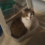 Floyd and Rue and now Percy - @floyd.gerstenhofer - Instagram