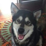 Rueger Floyd - @ruegerfloyd - Instagram