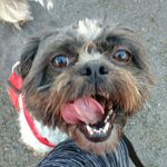 Floyd Russell - @x_floyd_a_royd_x - Instagram