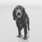 River Floyd Russell - @rivvy_bubs - Instagram