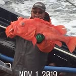 Floyd Sampson - @sampsonfloyd - Instagram