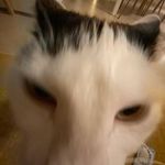 Floyd Sanchez - @floydsanchez988 - Instagram