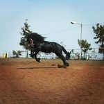 Floyd Santos Rodriguez - @floydsantosrodriguez - Instagram