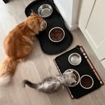 Floyd and Sapphire - @floyd_and_sapphire - Instagram