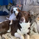 Floyd Sayers - @floyd_sayers - Instagram