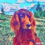 Carola Schaefer - @carolaschaefer.floyd - Instagram