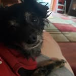Floyd Sexton - @floydsexton - Instagram