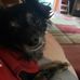 Floyd Sexton - Facebook