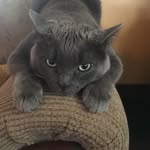 Floyd - @50shadesoffloyd - Instagram