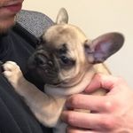 Floyd Shaw - @officalfloydshaw - Instagram
