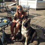Floyd The German Shepard - @gsdfloyd - Instagram